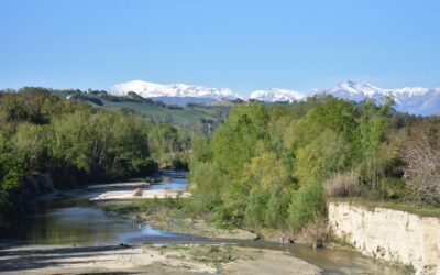 Conferenza: “La tutela della biodiversità della Regione Marche”